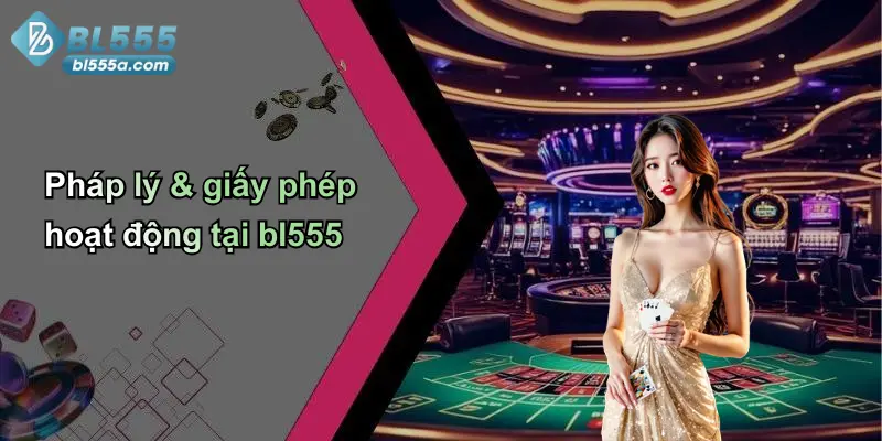 Pháp lý & giấy phép hoạt động tại bl555